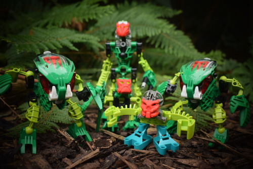 I got some duplicate Bohrok.