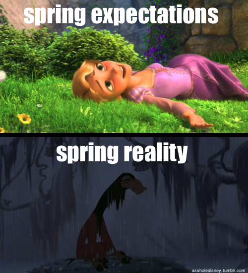 Or am I losing my mind?