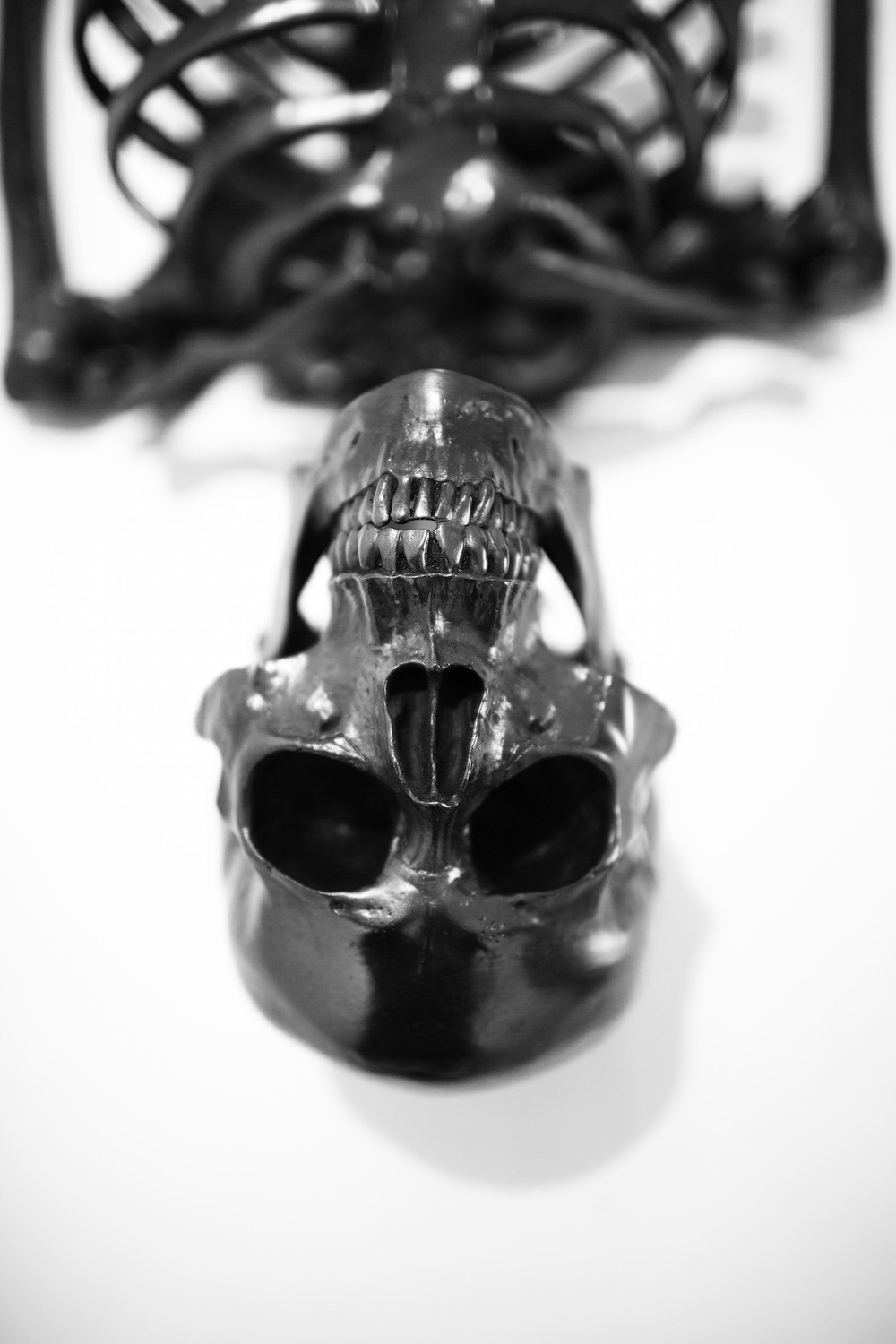 itscolossal:  A Life-Size Graphite Skeleton that Vibrates to Draw Itself into Nothingness