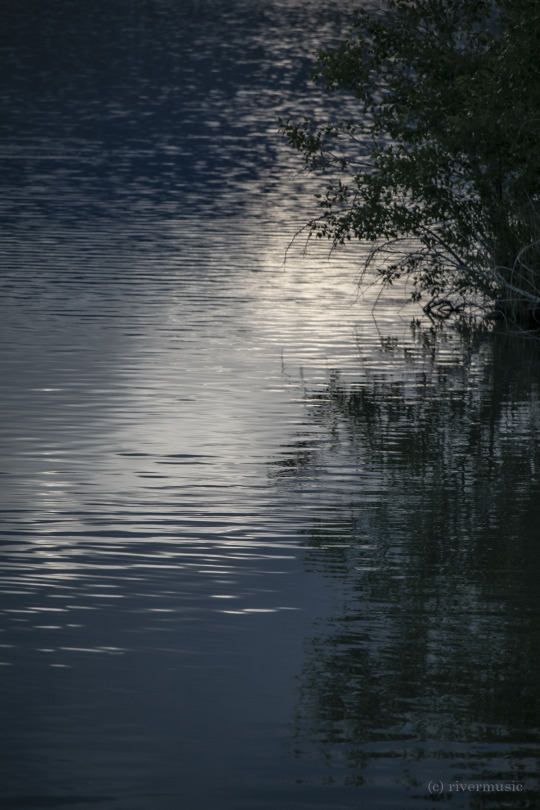 Clear sunlight skims off the surface of the lake: (c) riverwindphotography, June, 2020