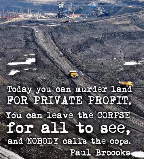 Capitalism Is Unsustainable.