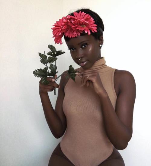 dswsubmit:  @liaferreira.m