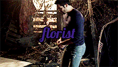 hoechloin:  potential career paths for derek to go down 