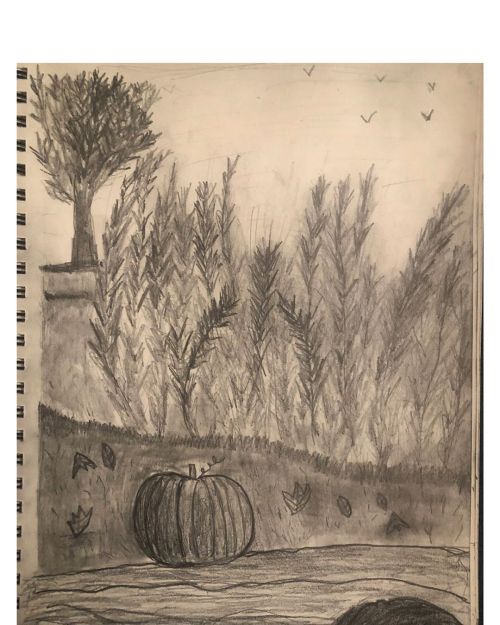 I hope you guys like my fall sketch. ✏️#sketch #pencildrawing #art #blackandwhite #fall #landscapes 