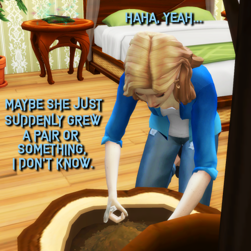 ts4 screenshot