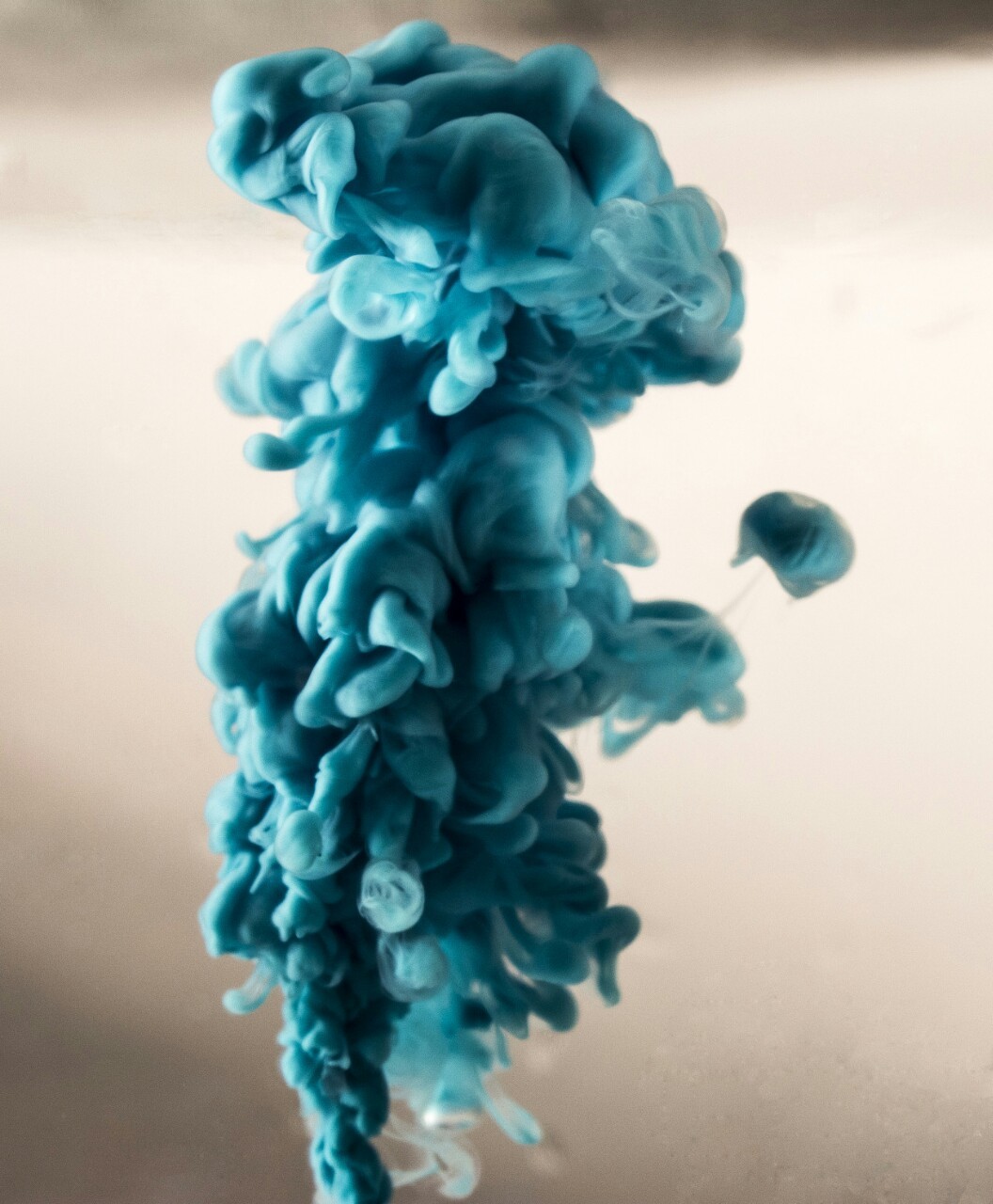 t-peterson-photo:  Took this photo of some ink a while back and had this 16x20 print