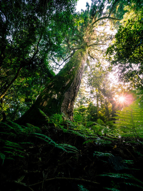 PhoTones Works by Takuma KimuraWeb Site(JP):Takuma Web Site