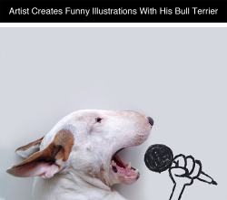 tastefullyoffensive:  Brazilian artist Rafael Mantesso uses silly illustrations and props to create funny photos with his Bull Terrier, Jimmy. [via]Previously: Artist Telmo Pieper Repaints His Own Childhood Drawings