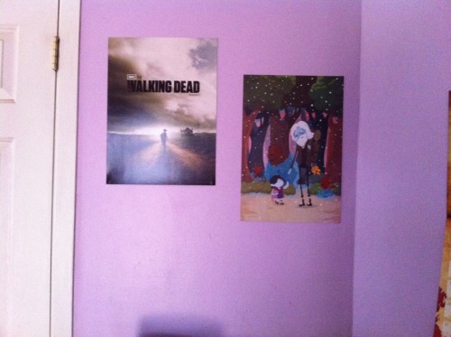 Put up some Walking Dead and Adventure Time posters and cleaned my room up a bit so I decided to take some pictures. Yea, they’re all lopsided and stuff, I’m not really good at…aligning things and I’m too lazy to take the effort to do it properly,