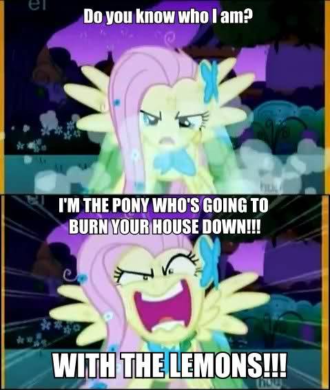 EpicBroniesTime
