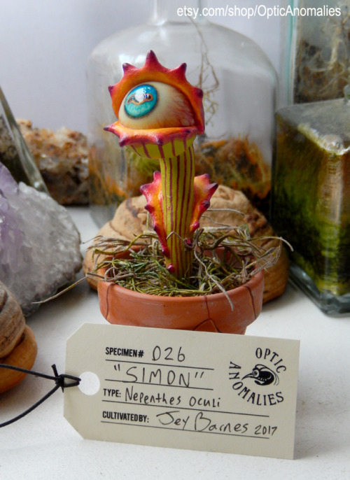 prawnlegs:  prawnlegs: Holy heck he’s finally for sale! etsy.com/shop/opticanomaliesEye