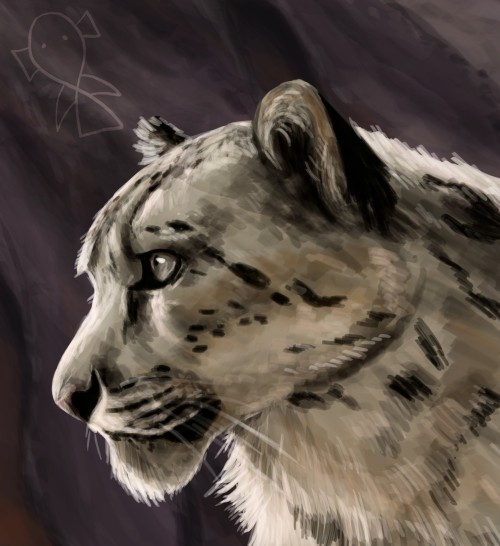 "World Snow Leopard Day"