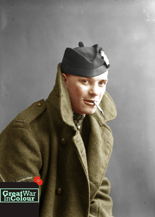 10/11Portrait of Private Hector Millar, Canadian War Records Office.Original image source: Canadian 