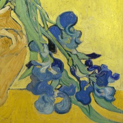 Irises (detail) ~ Vincent van Gogh