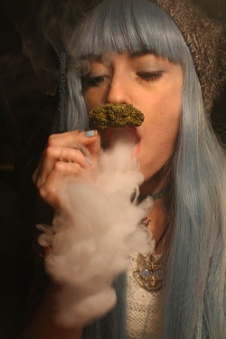 soohighrightmeow: nugstache 