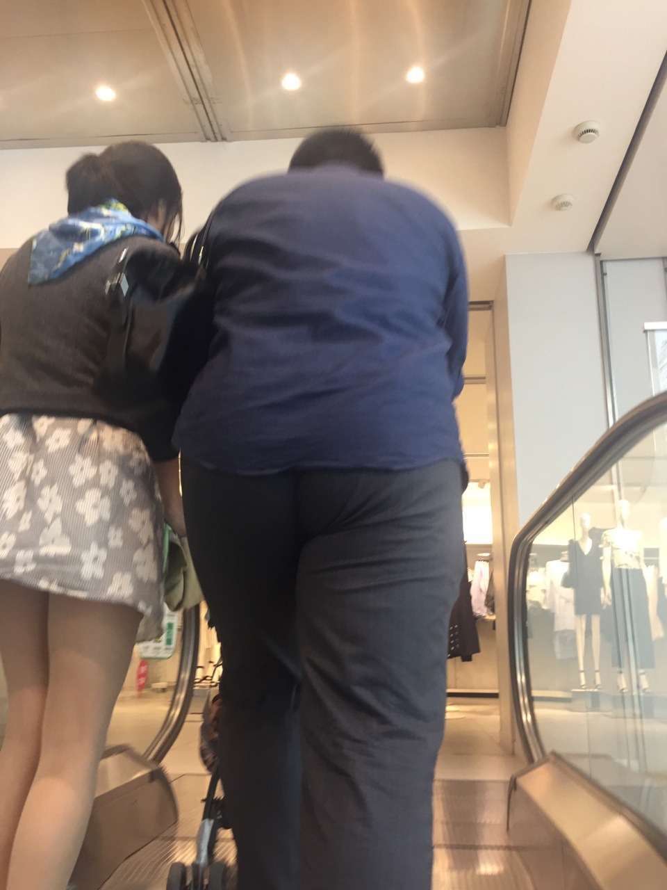 CN bear in Public 熊