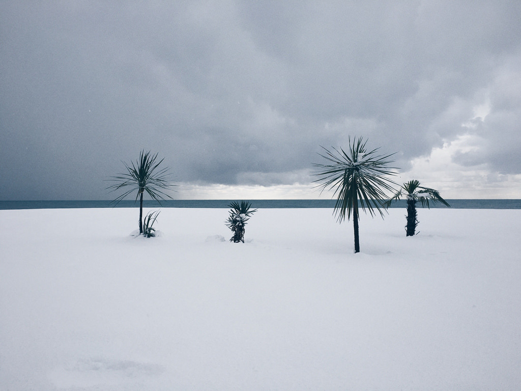 timbllr:Untitled by Louisa Chalatashvili Via Flickr: Processed with VSCOcam with