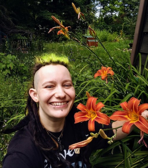 My Ditch Lilies are blooming! Did you know the entire plant (young shoots, buds, flowers, and tubers