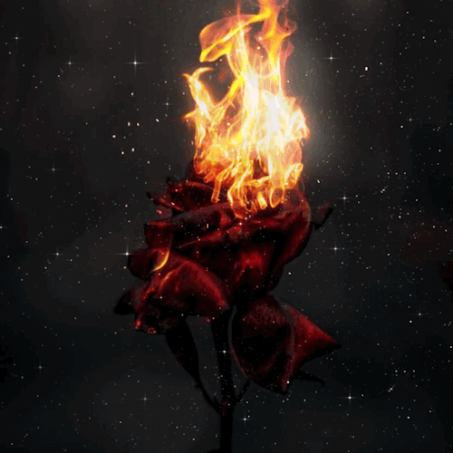 Fire In My Soul