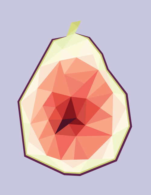 lexigrahame:Fig, adobe illustrator (a continuation of a series of illustrations)