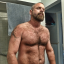 coltcubfl