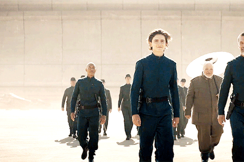 virginiasgardner:“where the fear has gone, only i will remain.“TIMOTHÈE CHALAMET AS PAUL ATREIDES IN