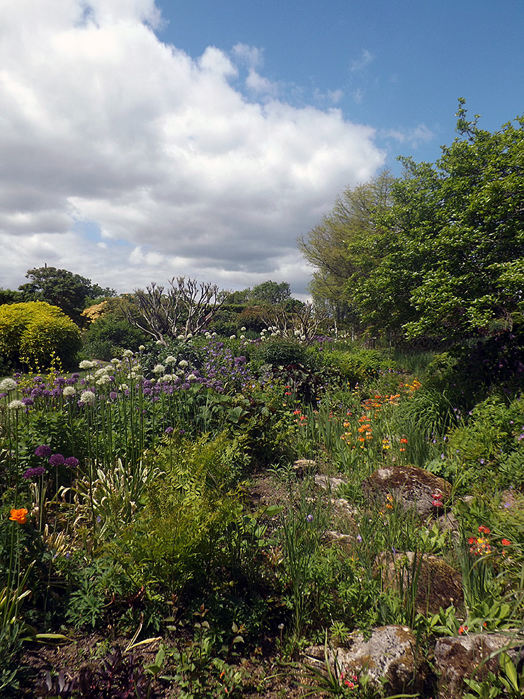 Merriments Garden
