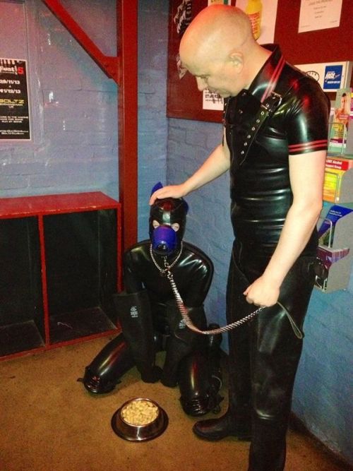 depravpig:  pupodin:  pupshikoku:  SIR and pup at Boltz, such a good evening!  Amazing  PUP NIGHT OUT 