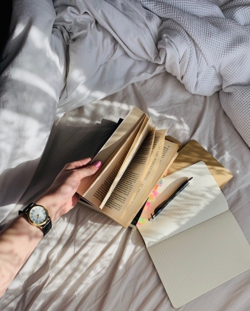 annibstudy:#augustauthorwipchallengeday 6: paperback or hardcover?paperbacks are just so much more c