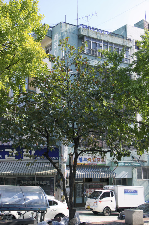 합정아파트(Habjung Apartment)