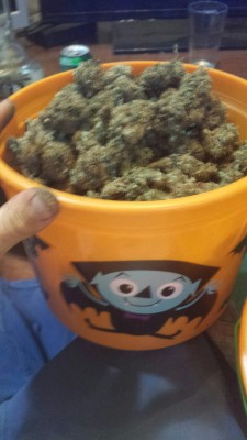 dreadedgrape:  My holloween canxg is better then yours. Holloween came early
