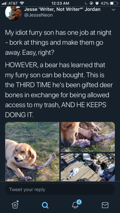 regularlesbian: caucasianscriptures: Corrupt doggo bribed by bear a bear has learned my furry son can be bought 