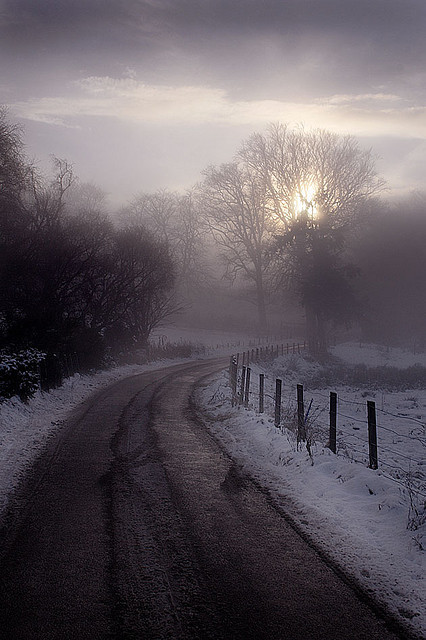 Porn photo the-forces-of-nature:  WINTER ROAD by Colin