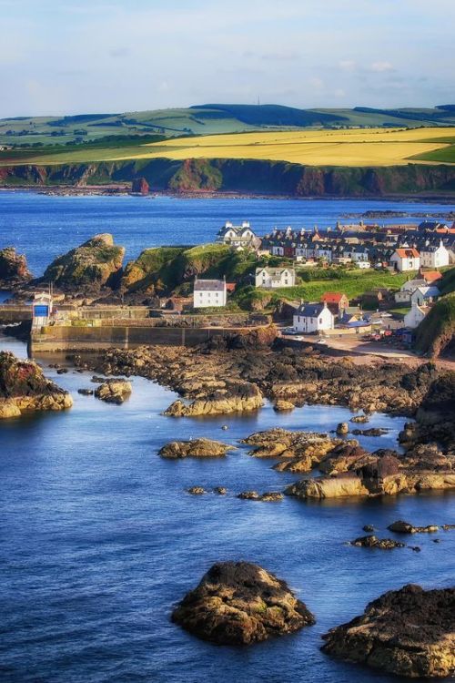 wishfulthinkment: St Abbs, Scotland