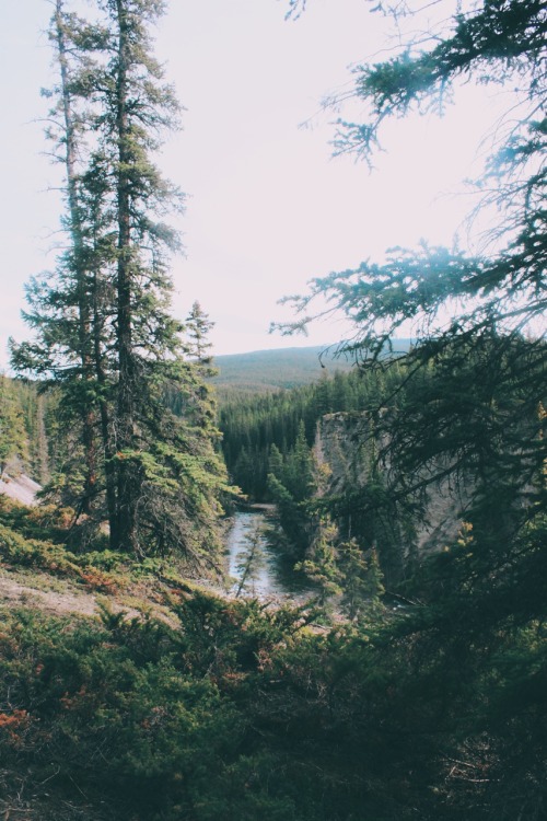 avenuesofinspiration:Down River | @Mammothstock | AOI