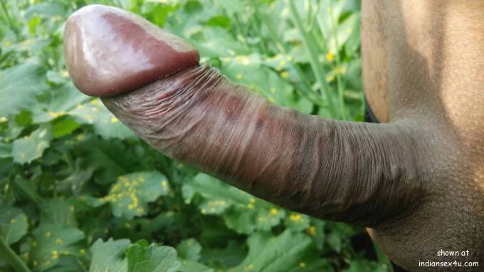 bikingdom82:  #cock Latin hung #dick Valentine’s edition #TwitterAfterDark #uncutDICK