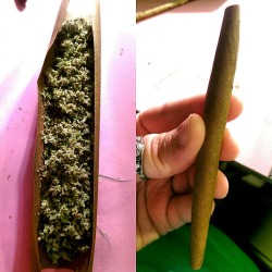 smokingtheherb:  2.5 I rolled up last night for the boyfriend and I! 