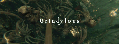 gilderoyed:  creatures Harry Potter and the Goblet of Fire