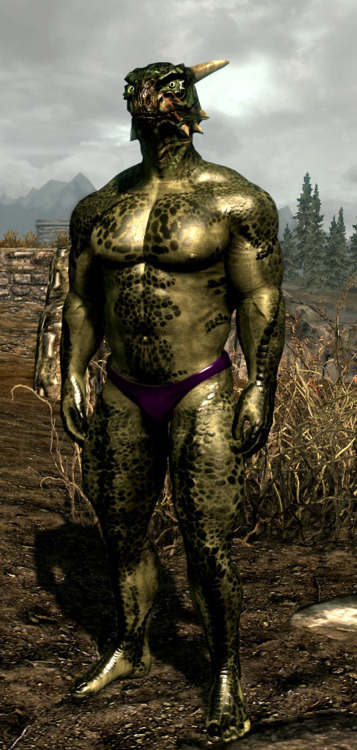 The various argonian males of Skyrim, all rocking colorful briefs and tighty-whities~!  Once again possible by the Shape Atlas for Men Mod for Skyrim. Now if only they could pose