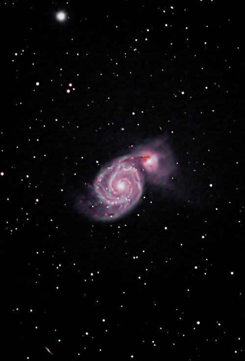 galaxyshmalaxy:Whirlpool Galaxy Canes Venatici (by Ian J Crichton)