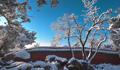 fuckyeahchinesegarden:Winter & Spring at Yi He Yuan( the Summer Palace) in China.颐和园的冬与春。