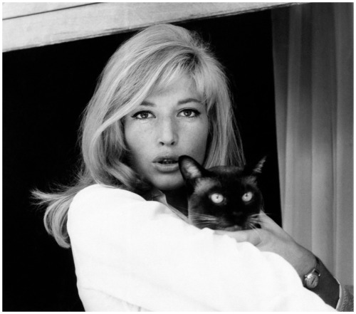 Monica Vitti, 1963Photo: Everett CollectionVitti often carried a cat in her arms while shooting the 
