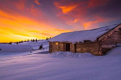 WINTER MORNING by Jørn Allan Pedersen