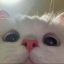 pat-padenales