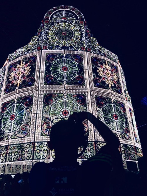 atotaltaitaitale:
“.
When your friend tells you: “Let me know when you go to Gardens By The Bay to shoot the Christmas lights”.
 Your first reaction is “Well I didn’t know I was supposed to go to Gardens By The Bay to shoot the Christmas lights” then...