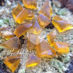 letssmokeloud:  Always dank weedporn by macromob420! Visit LetsSmokeLoud.com for dank weed pics!