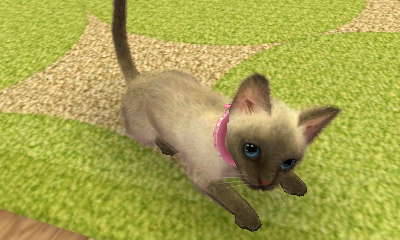arrowsforpumpkins:I used Nintendogs to adopt two kittens and named them Kirjava (the spotted tabby) 