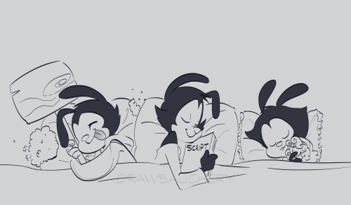 snow-white-shadow:Is Wakko sleeping with a hammer a reference to the episode “The Sound of Warners” 