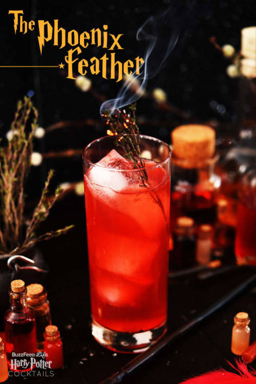 createbakecelebrate: 8 Magical And Delicious Harry Potter Cocktails // BuzzfeedFollow For Recip