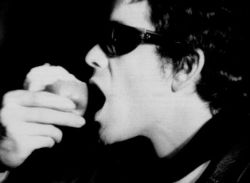 iamnotcharliesheen:  Lou Reed by Andy Warhol